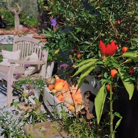 فندق Casa Autunno مونزامبانو المظهر الخارجي الصورة