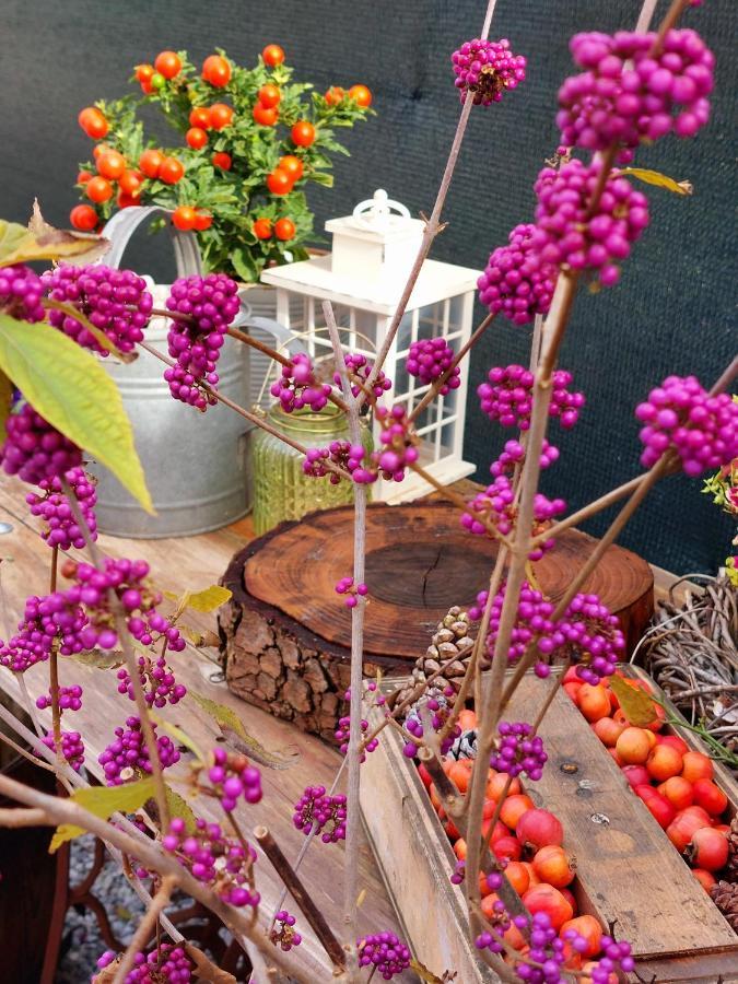 فندق Casa Autunno مونزامبانو المظهر الخارجي الصورة