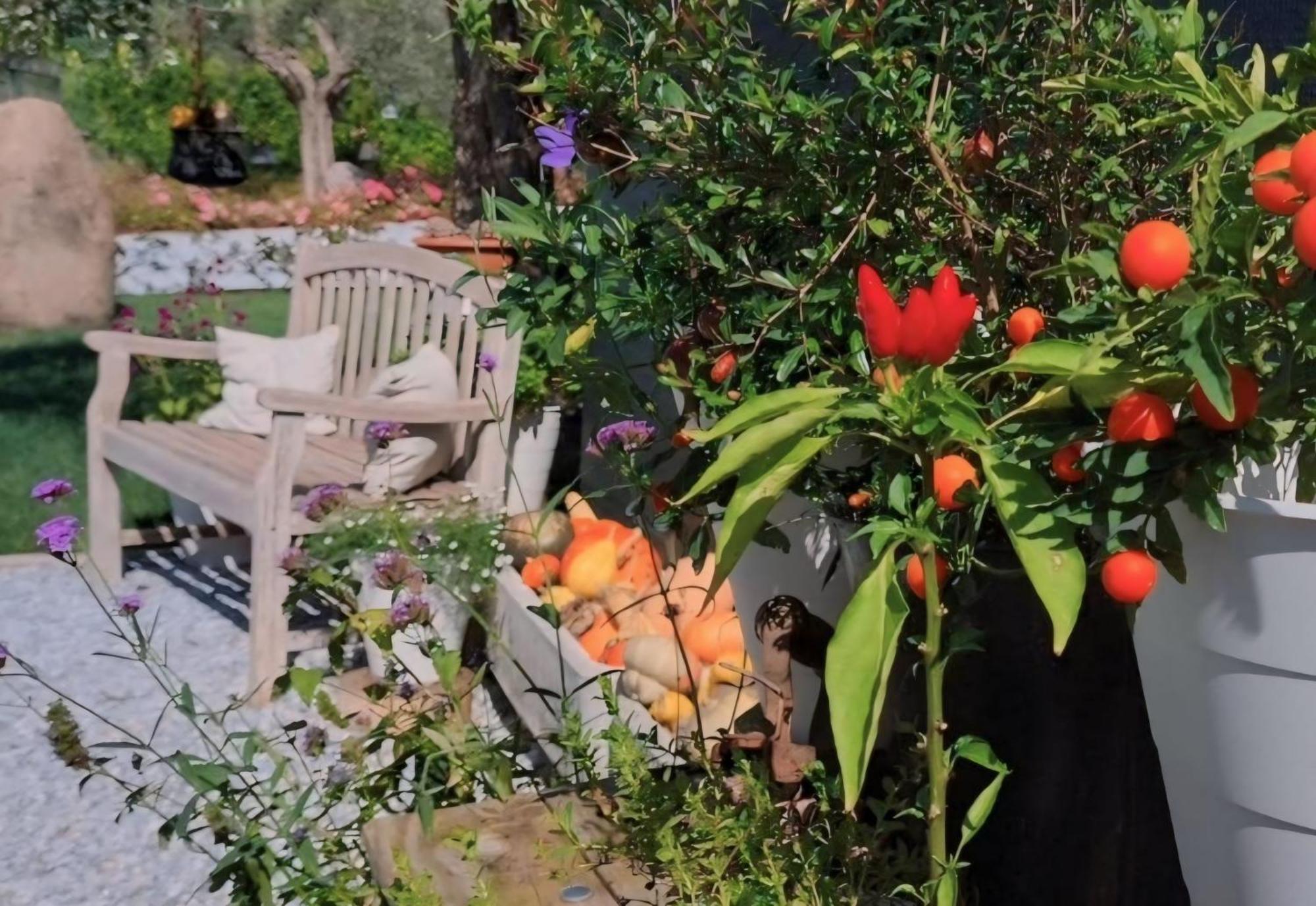 فندق Casa Autunno مونزامبانو المظهر الخارجي الصورة
